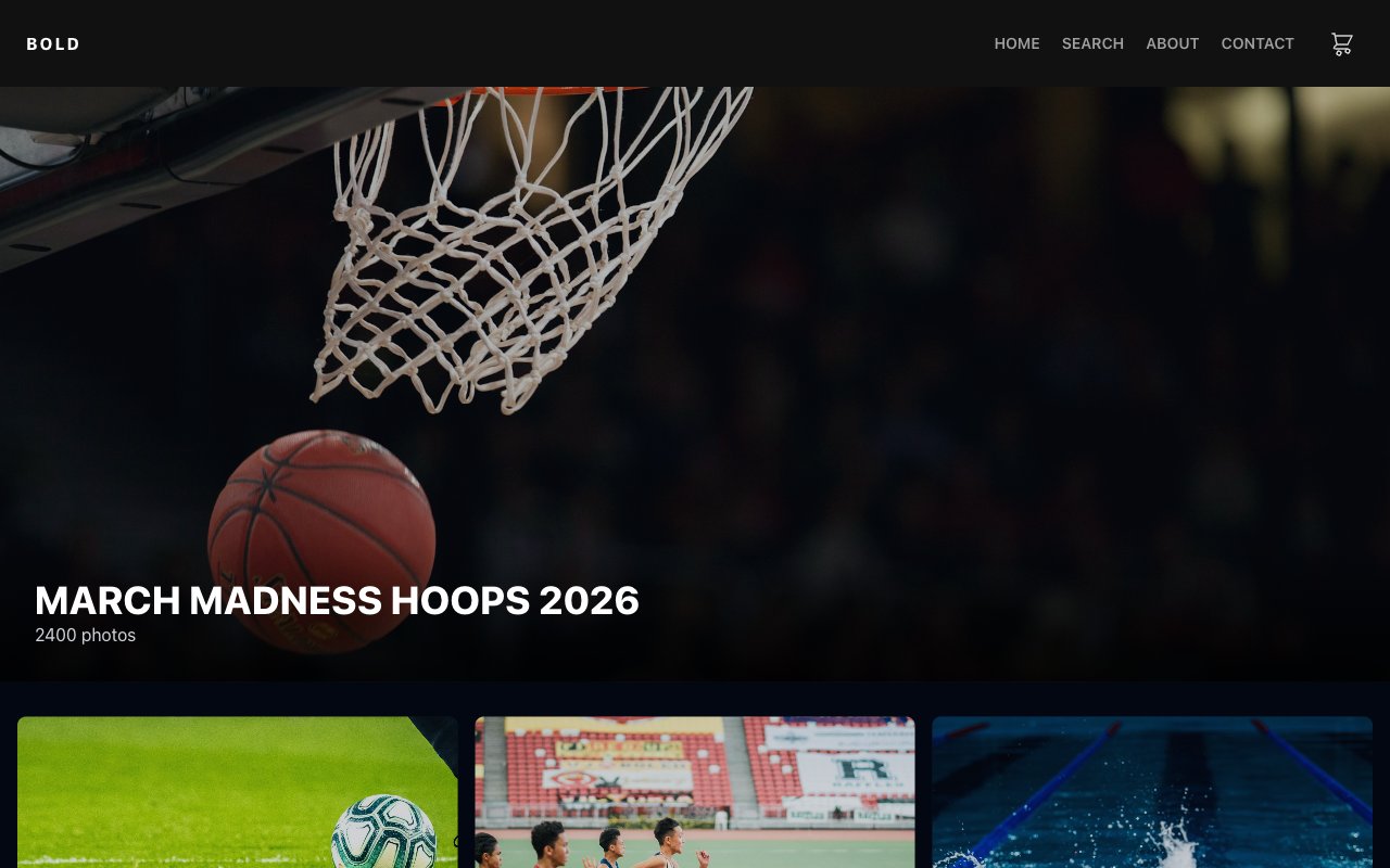 A theme's demo store opened by Preview: the Bold theme with a large basketball hero